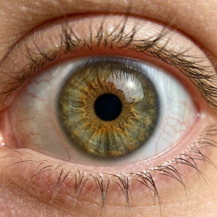 Microcirculation Enhancement