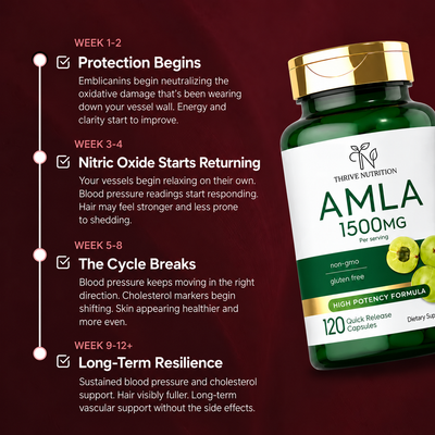 Amla Superfruit Extract